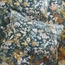 Libreville Cotton Sateen Printed 3-Piece Super King Comforter Set - 240x260 cm-household-bedding-comfortersandbedspreads-comforters-image-3