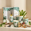 Reverie Tiare Driftwood Reed Diffuser - 500 ml-household-homefragrance-reeddiffusers-image-4