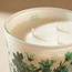 Reverie Tiare Driftwood Scented Jar Candle - 70 h-household-homefragrance-candles-image-4