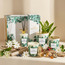 طقم هدايا تريار دريفتوود قطعتين - ريفيري-household-homefragrance-fragrancegiftset-image-1