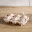 Alaska Ice Tray-household-kitchen-kitchenorganising-fridgeorganising-image-2