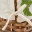سلة تخزين بتصميم ديناصور ثلاثي الأبعاد - براكستون-babyandkids-bathandstorage-storage-binsandbaskets-image-2