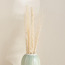أغصان طبيعية مجففة - ديكو - 100 سم-household-gardenandoutdoor-artificialflowersandplants-fillers-image-3