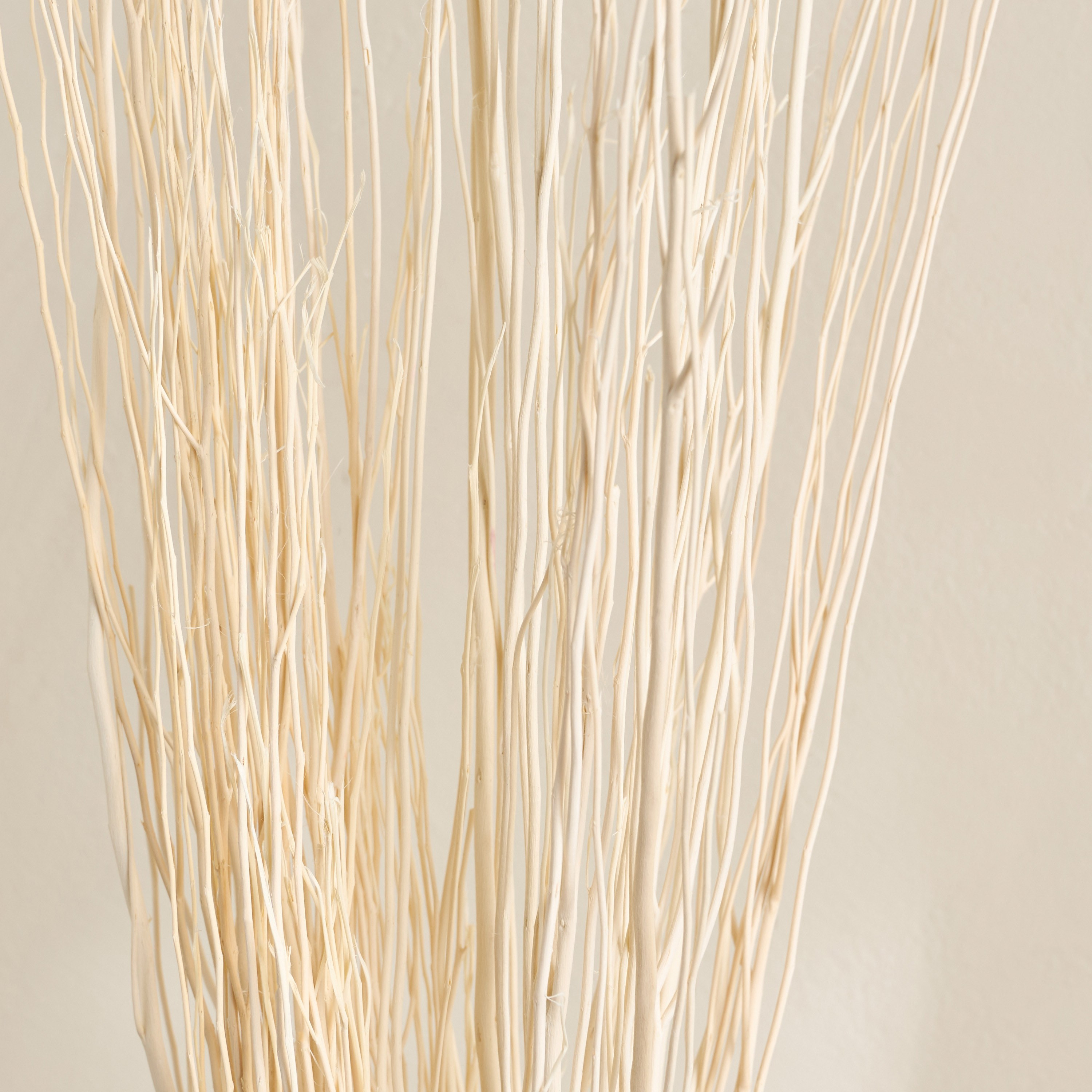 أغصان طبيعية مجففة - ديكو - 100 سم-household-gardenandoutdoor-artificialflowersandplants-fillers-image-2