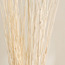 أغصان طبيعية مجففة - ديكو - 100 سم-household-gardenandoutdoor-artificialflowersandplants-fillers-image-2