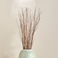 أعواد طبيعية جافة - ديكو - 100 سم-household-gardenandoutdoor-artificialflowersandplants-fillers-image-3
