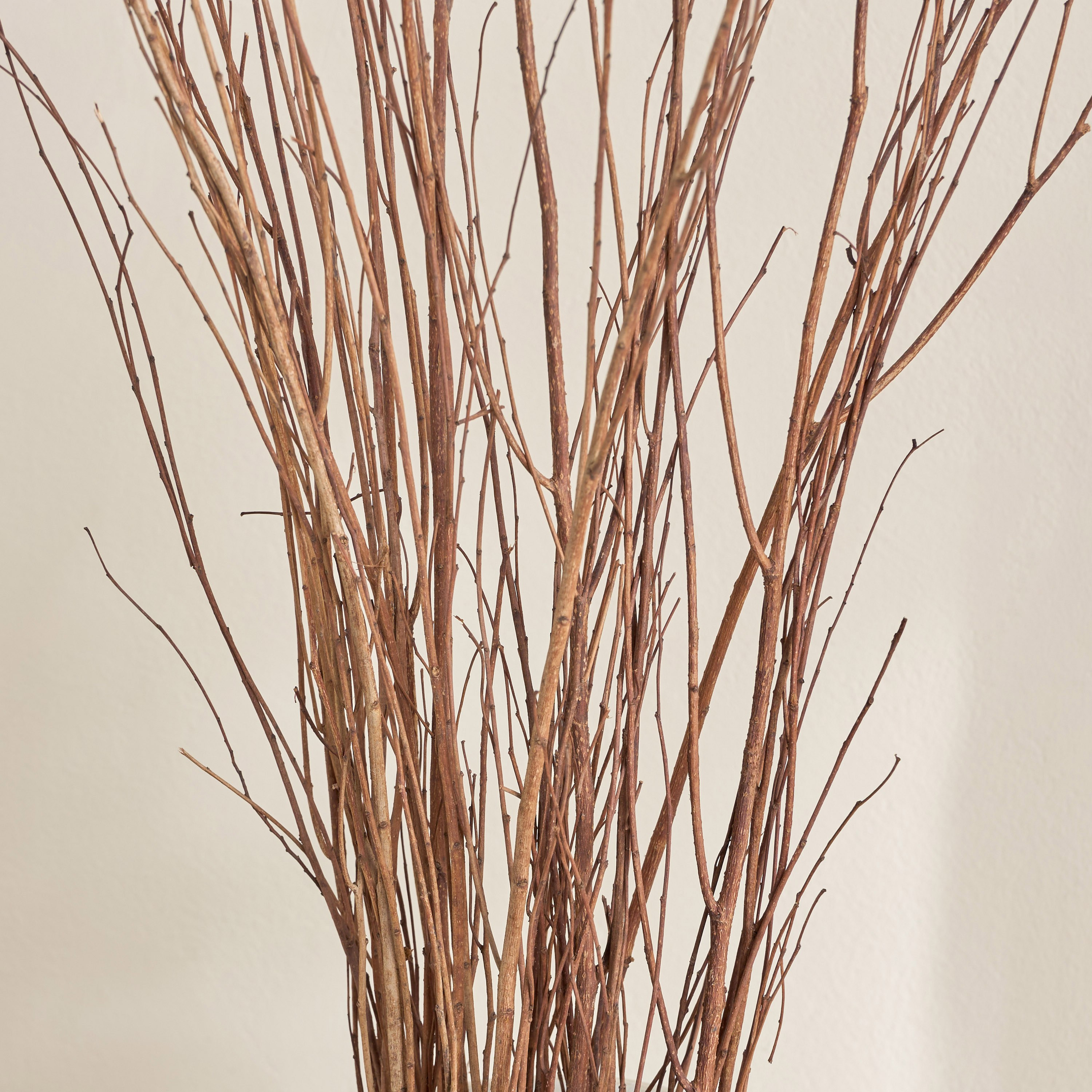 Deco Dried Natural Sticks - 100 cm-household-gardenandoutdoor-artificialflowersandplants-fillers-image-2