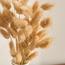 زهور باني تيلز مجففة في إناء زرع - ديكو - 30 سم-household-gardenandoutdoor-artificialflowersandplants-flowers-image-3