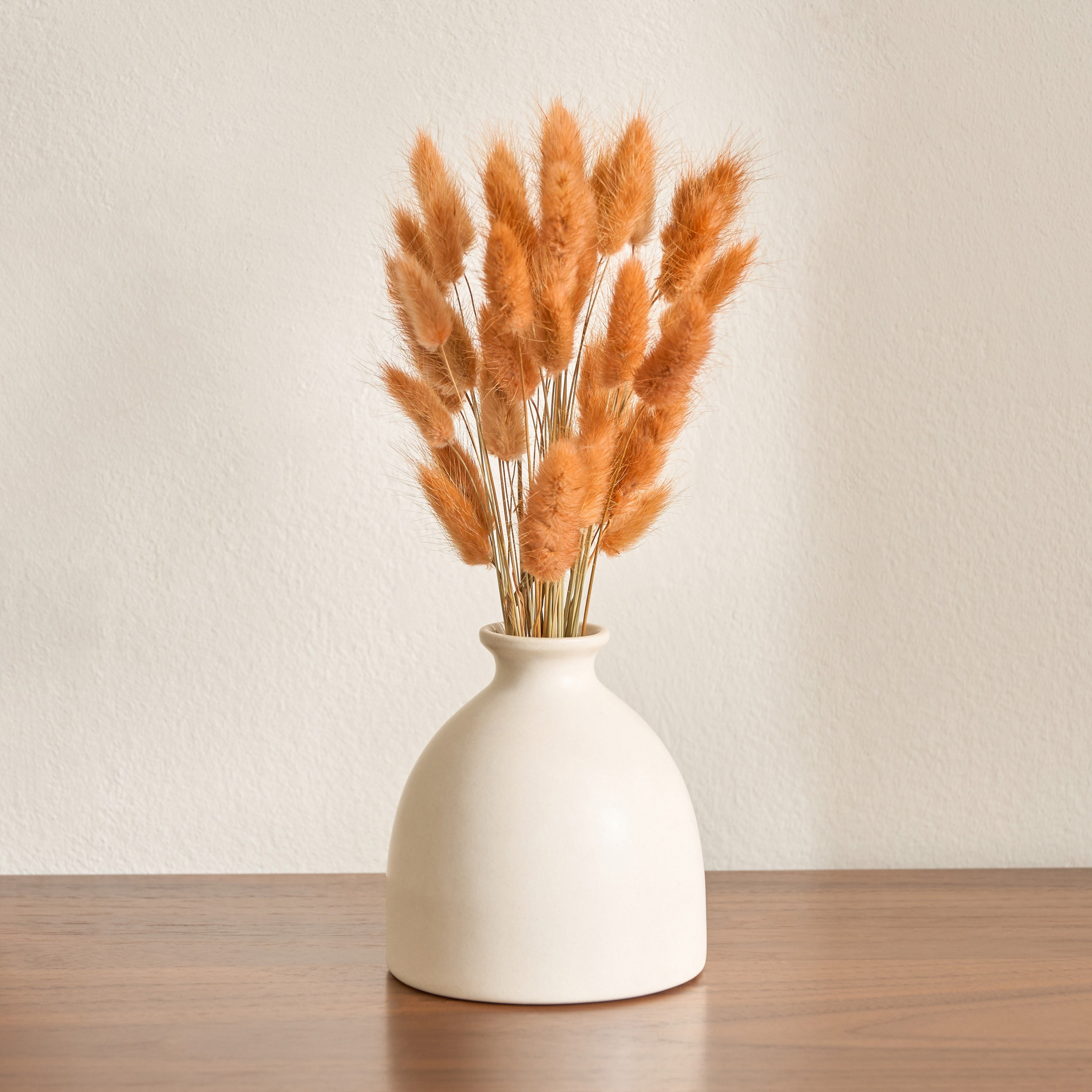 Deco Dried Bunny Tails in Pot - 30 cm