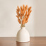 زهور باني تيلز مجففة في إناء زرع - ديكو - 30 سم-household-gardenandoutdoor-artificialflowersandplants-flowers-image-6