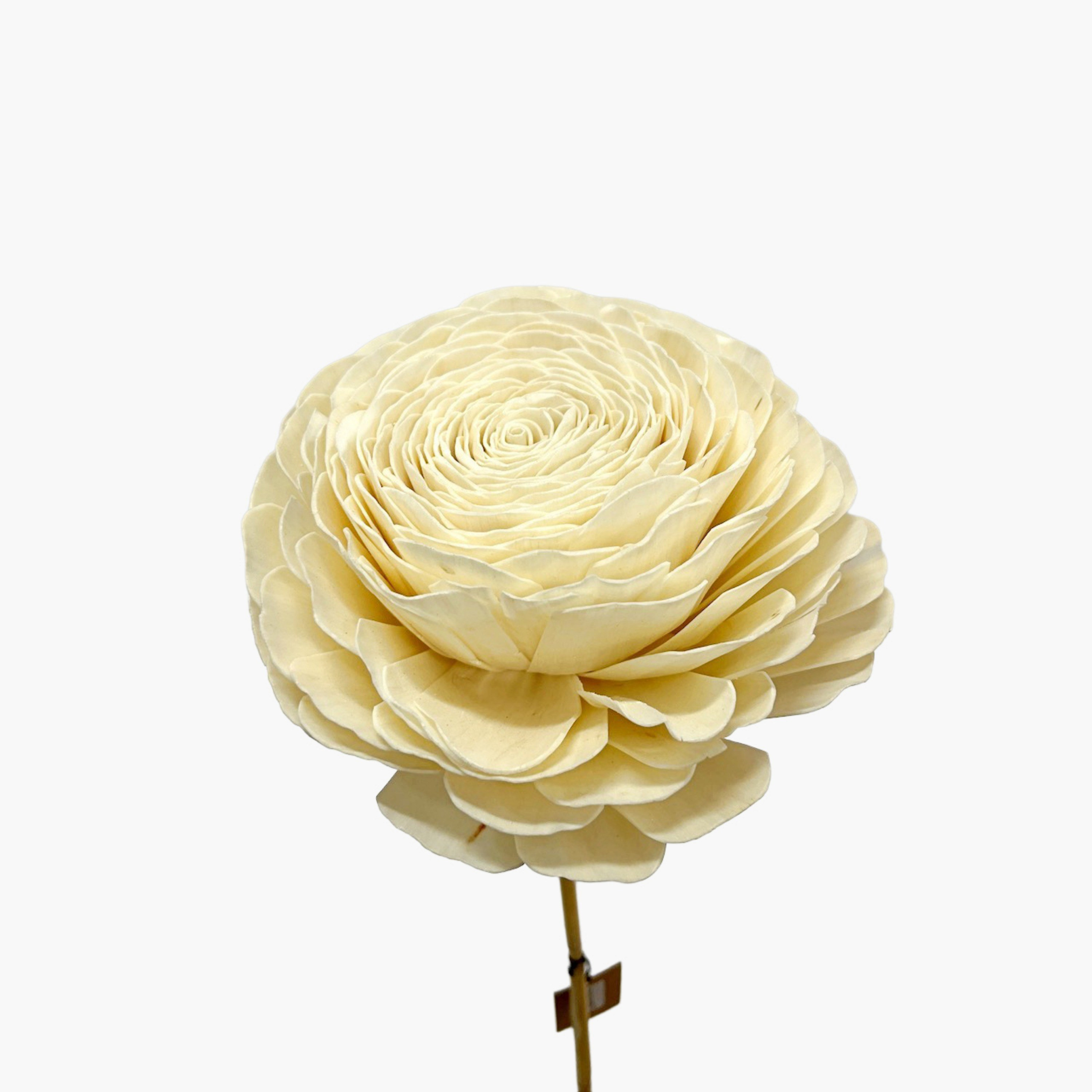 Deco Dried Rose Stem - 100 cm