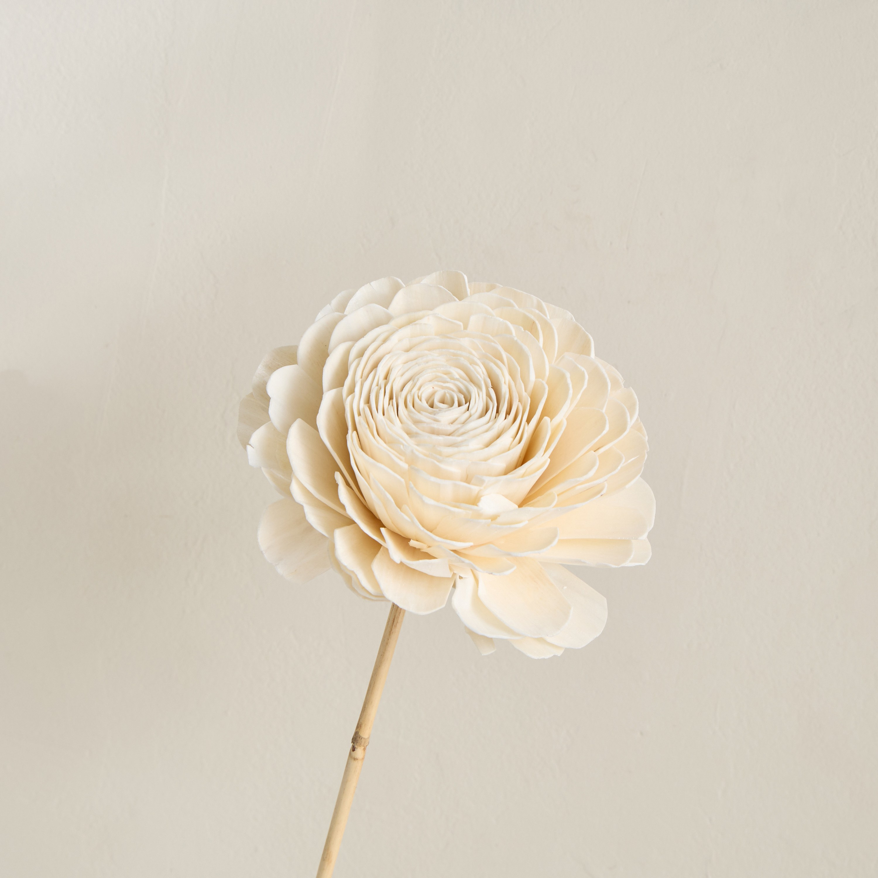 Deco Dried Rose Stem - 100 cm-household-gardenandoutdoor-artificialflowersandplants-stems-image-2