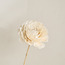 وردة مجففة - ديكو - 100 سم-household-gardenandoutdoor-artificialflowersandplants-stems-image-2