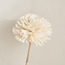 غصن زهرة داليا مجفف للزينة - 100 سم-household-gardenandoutdoor-artificialflowersandplants-stems-image-2