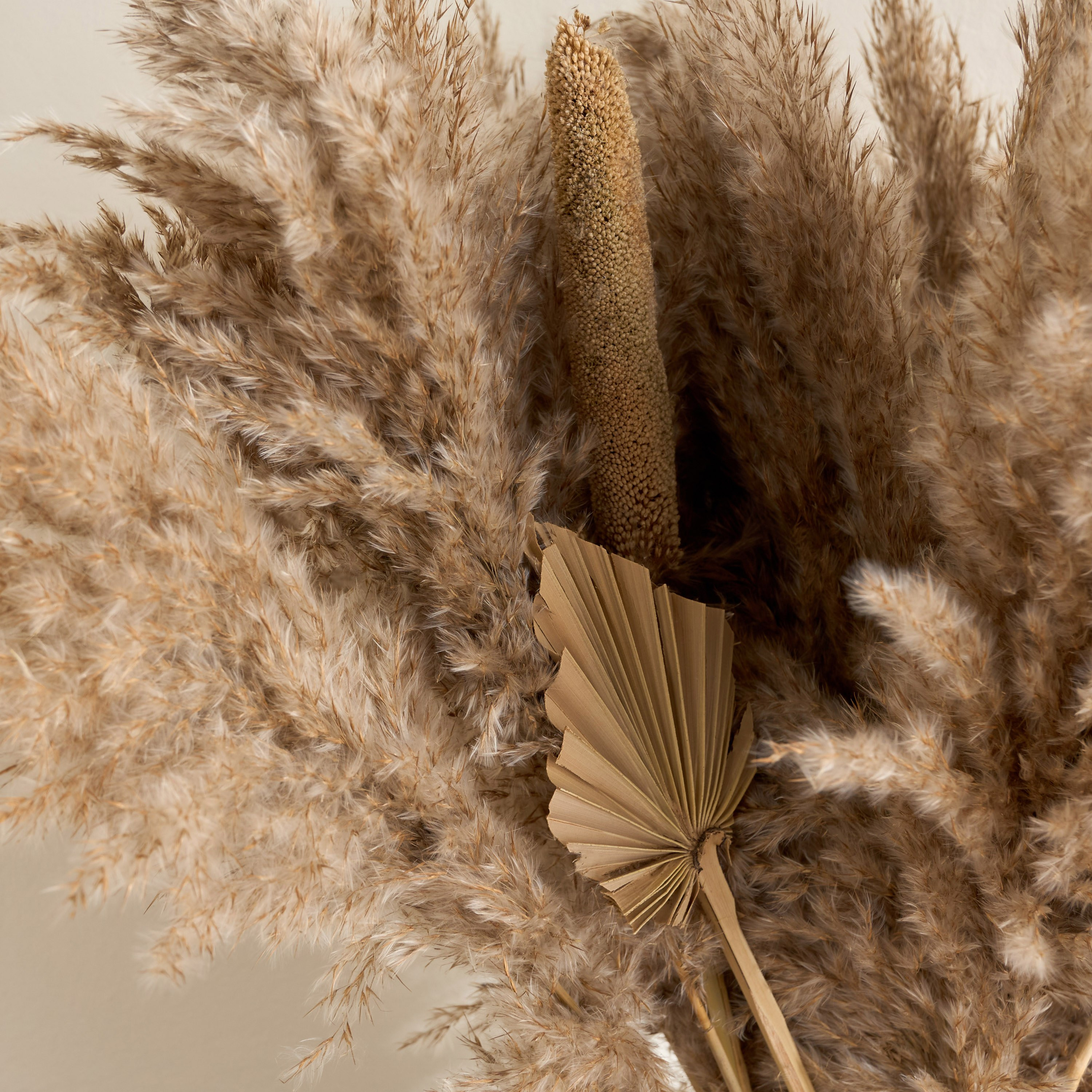 Deco Dried Pampas in Ceramic Pot - 75 cm-household-gardenandoutdoor-artificialflowersandplants-flowers-image-3