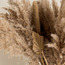 تنسيق أعشاب البامباس ونخيل السبير في إناء سيراميك - ديكو - 75 سم-household-gardenandoutdoor-artificialflowersandplants-flowers-image-3