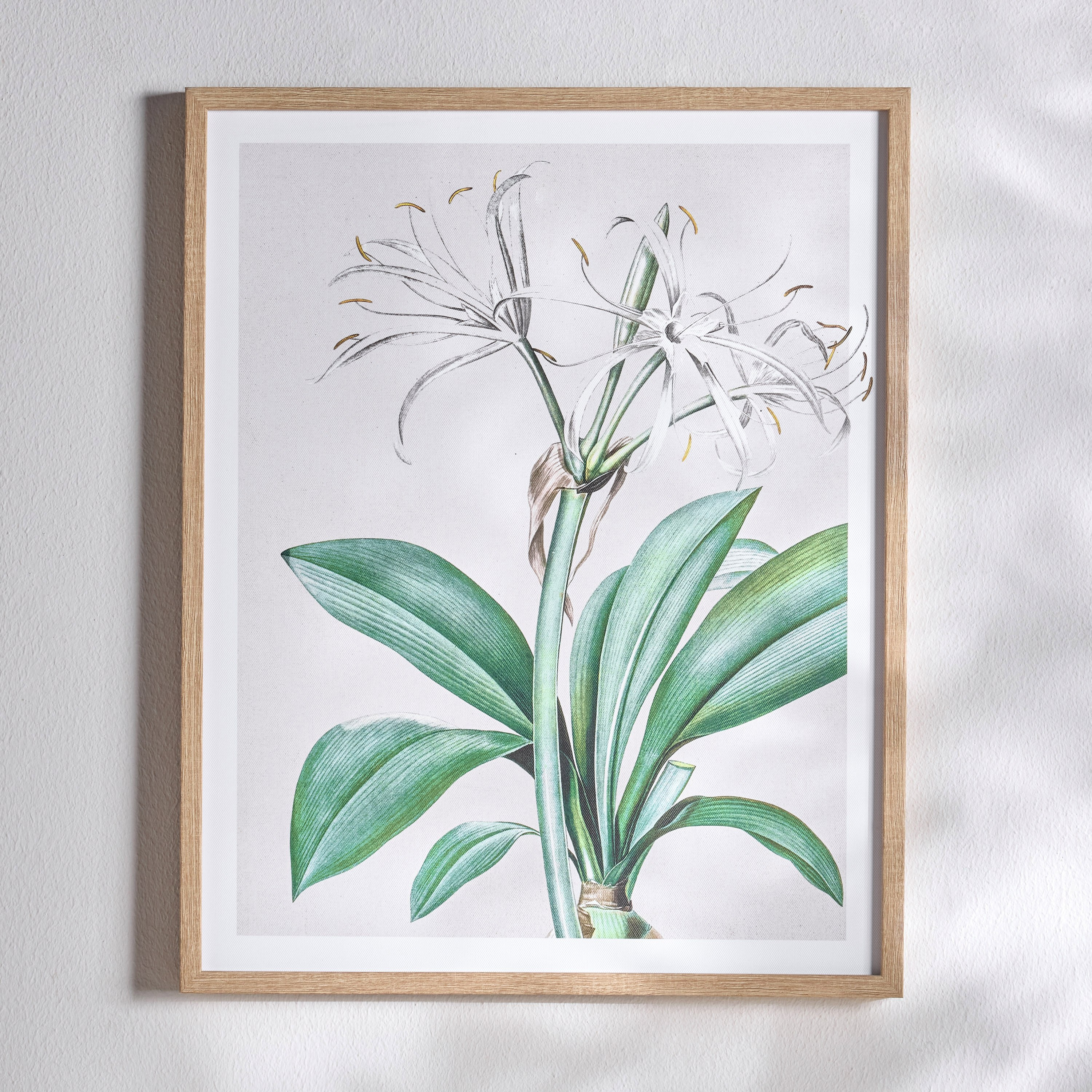 زينة حائط كانفاس مؤطرة - راها - 40x50 سم-household-walldecorandmirrors-wallart-image-1