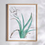 زينة حائط كانفاس مؤطرة -  شدا - 40x50 سم-household-walldecorandmirrors-wallart-image-3