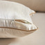 غطاء وسادة مخمل بتطريز عروق - فاريس سارونا - 30x50 سم-household-cushionsandthrows-cushioncovers-image-2