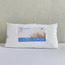 وسادة واحدة كينج بحشوة بديل زغب الريش مع حافة جانبية - نيرو - 50 × 90 سم-household-bedding-pillows-image-1