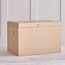 Christopher Storage Trunk - 60x40x40 cm-household-storage-storagesolutions-trunks-image-1