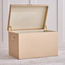 Christopher Storage Trunk - 60x40x40 cm-household-storage-storagesolutions-trunks-image-2