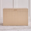 Christopher Storage Trunk - 60x40x40 cm-household-storage-storagesolutions-trunks-image-3