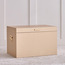 صندوق تخزين - كريستوفر - 54x35x35 سم-household-storage-storagesolutions-trunks-image-7