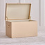 صندوق تخزين - كريستوفر - 54x35x35 سم-household-storage-storagesolutions-trunks-image-6