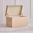 صندوق تخزين - كريستوفر - 48x30x30 سم-household-storage-storagesolutions-trunks-image-5