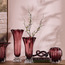 فازة زجاجية فاخرة 19 سم - أوفيرا-binpromo_KSA_Alrajhi_17062026-image-1