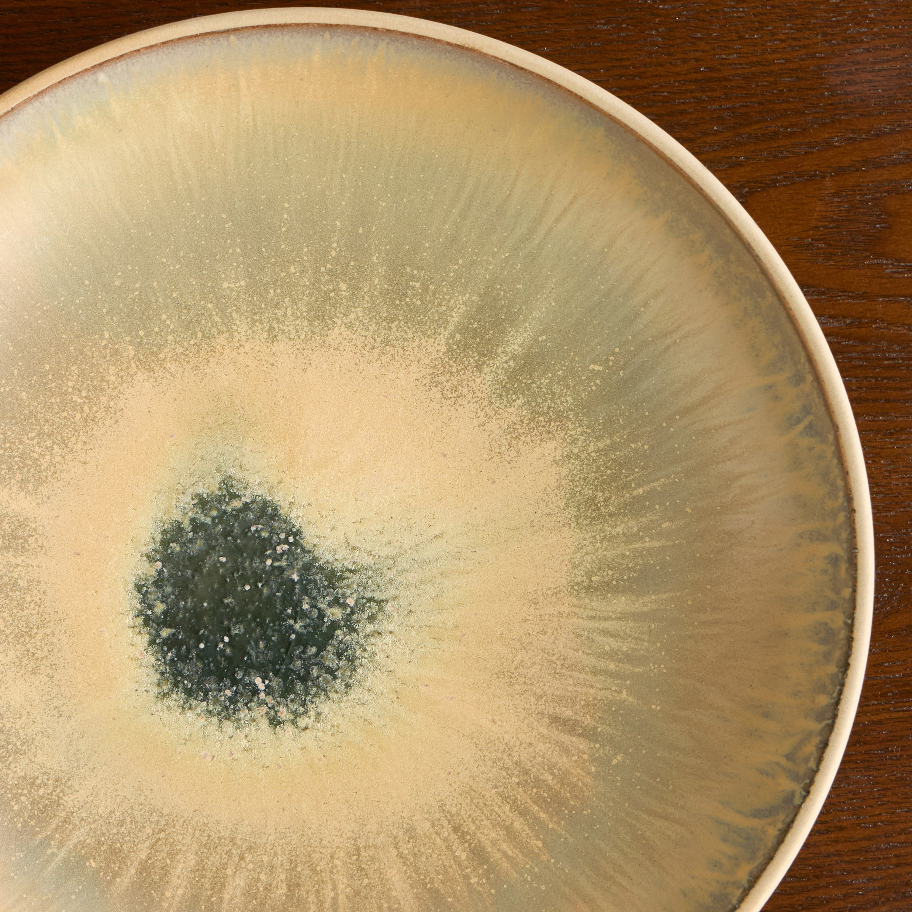 وعاء مكرونة بورسلين - تيروسو – ٢٢ سم-household-dining-dinnerware-bowls-image-2
