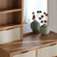 Nest 2-Drawer Dresser with Mirror-furniture-bedroom-dressersandmirrors-image-4