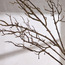 Twig Branch - 155 cm-binpromo_KSA_Alrajhi_17062026-image-2