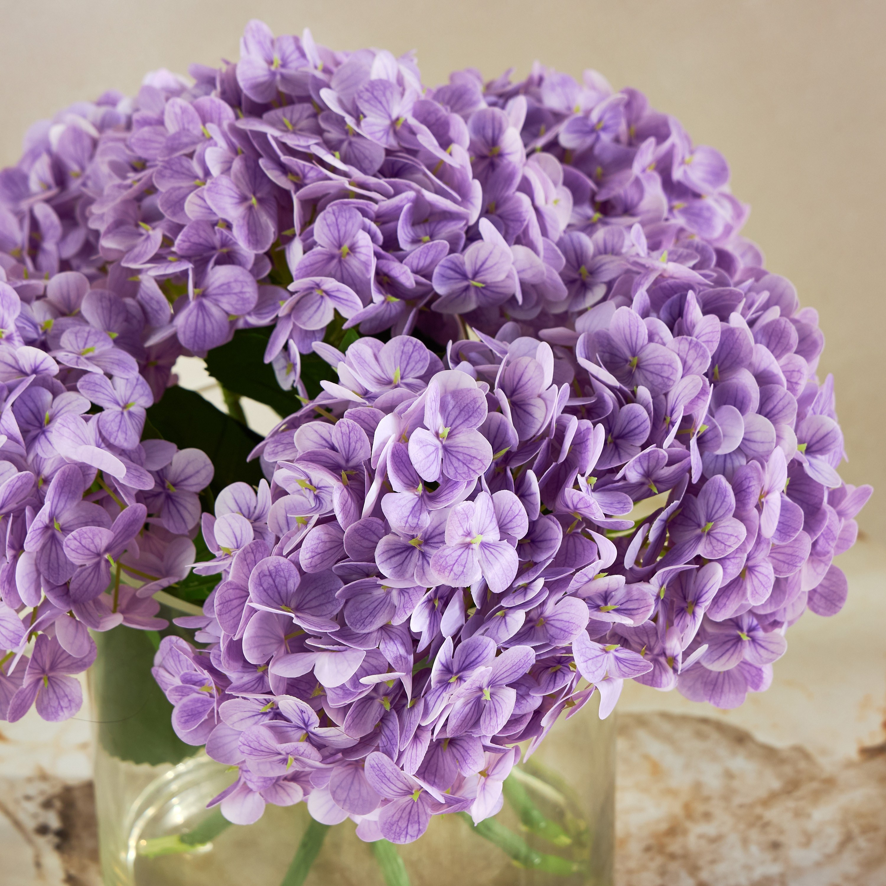 نبتة الهايدرنجا في وعاء زجاج - 38 سم-household-gardenandoutdoor-artificialflowersandplants-flowers-image-2