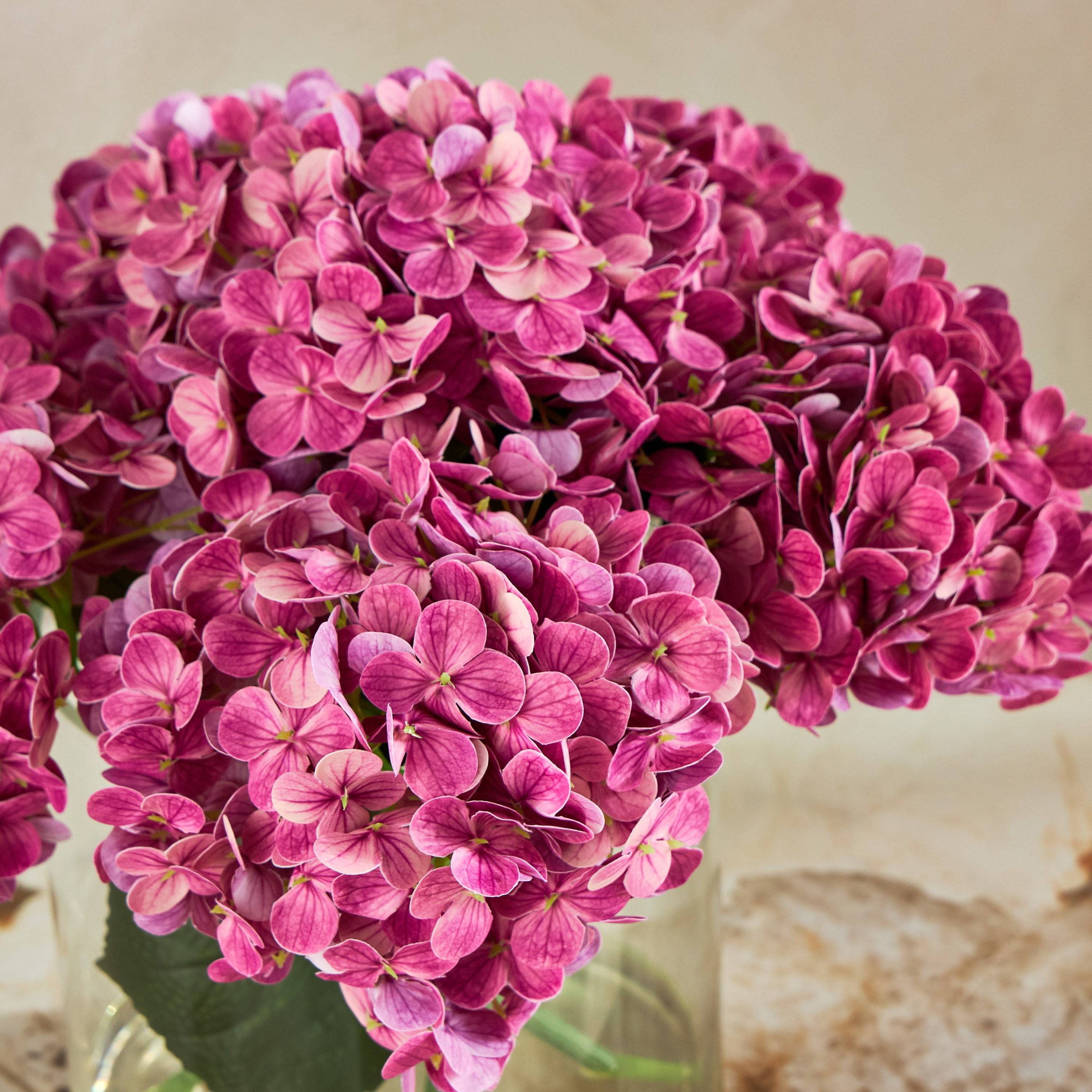 نبتة الهايدرنجا في وعاء زجاج - 38 سم-household-gardenandoutdoor-artificialflowersandplants-flowers-image-2
