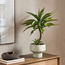 Chantilly Aloe Plant in Pot - 78 cm-household-gardenandoutdoor-artificialplants-pottedplants-image-4