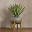 Terra Agave Plant in Pot - 62 cm-household-gardenandoutdoor-artificialplants-pottedplants-image-1