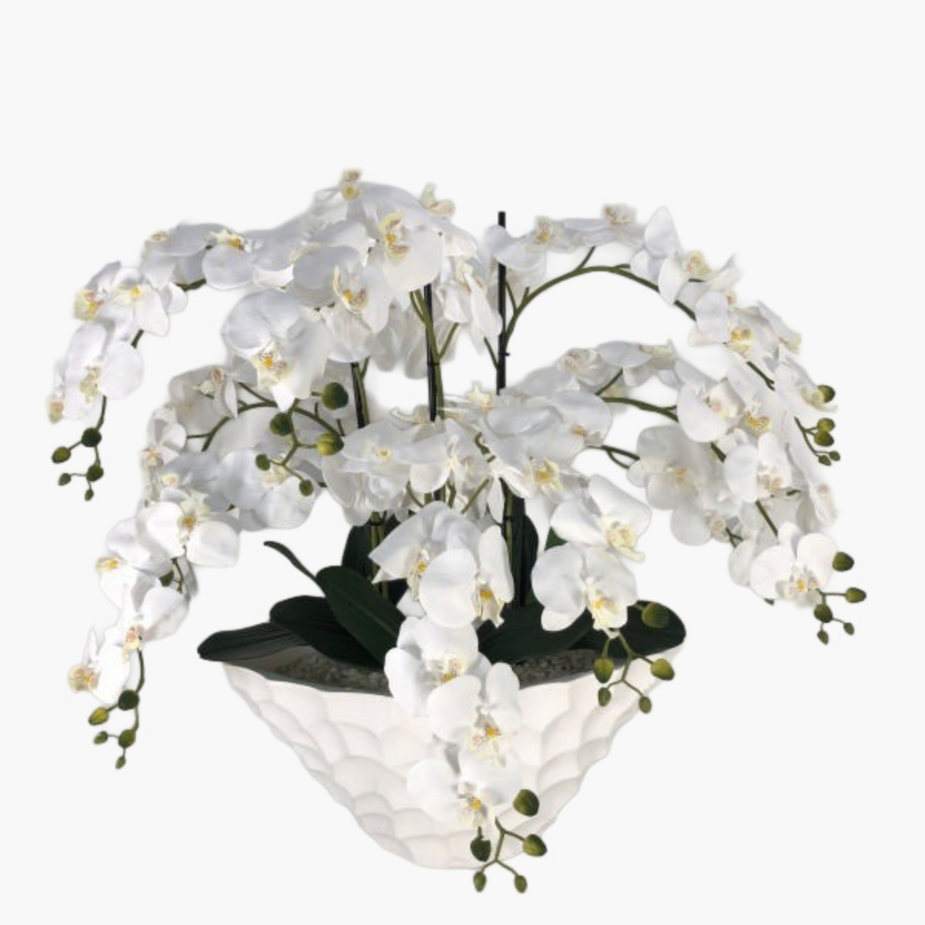 Urbano Blanc Orchid Arrangement in Pot - 79 cm-household-gardenandoutdoor-artificialflowersandplants-flowers-image-1