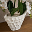 Urbano Blanc Orchid Arrangement in Pot - 79 cm-household-gardenandoutdoor-artificialflowersandplants-flowers-image-2