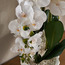 Urbano Blanc Orchid Arrangement in Pot - 79 cm-household-gardenandoutdoor-artificialflowersandplants-flowers-image-3