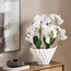 Urbano Blanc Orchid Arrangement in Pot - 79 cm-household-gardenandoutdoor-artificialflowersandplants-flowers-image-4