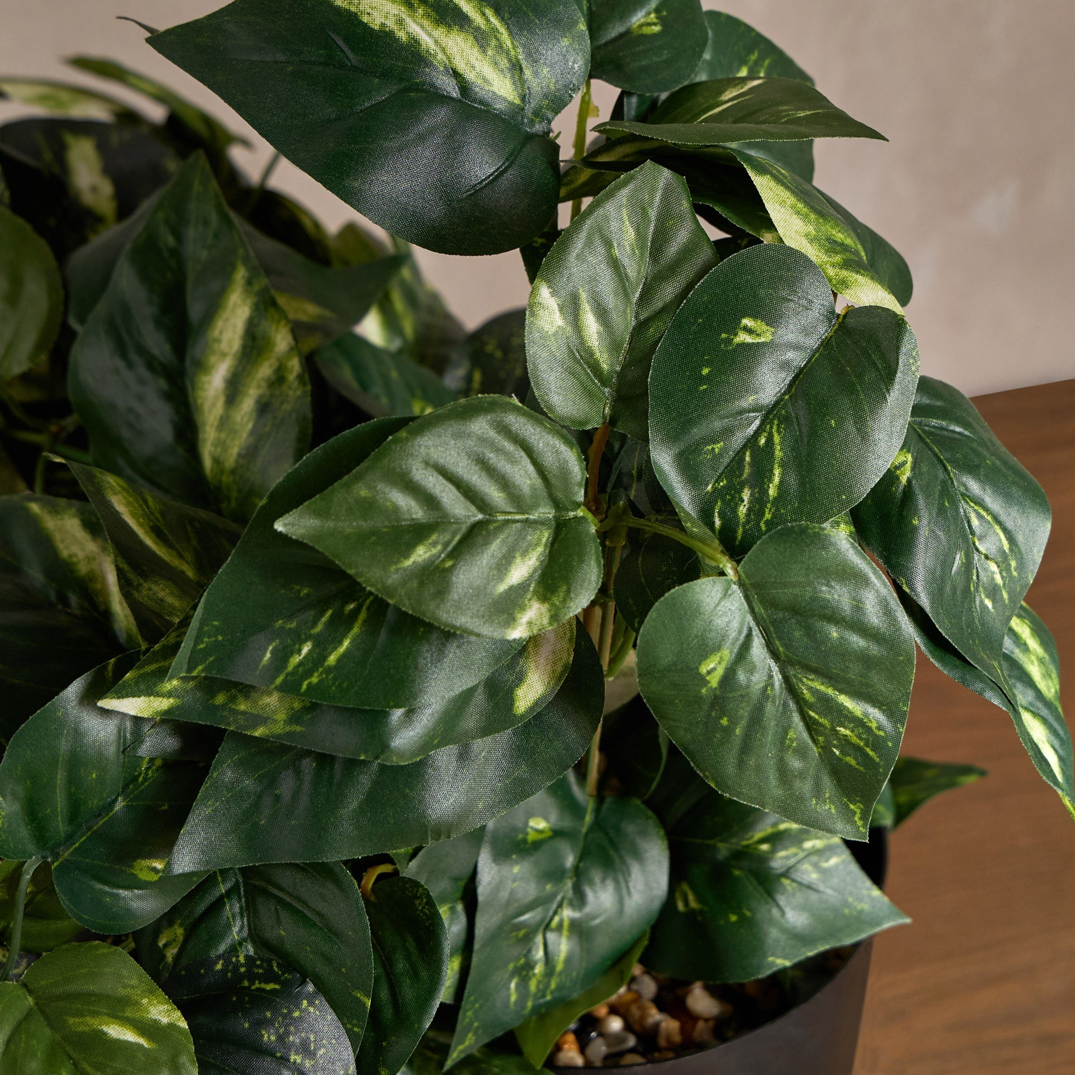 Urbano Pothos Plant in Pot - 37 cm-household-gardenandoutdoor-artificialplants-pottedplants-image-2