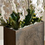 نبات أوركيد في إناء - جيلد روسيت - 150 سم-household-gardenandoutdoor-artificialflowersandplants-flowers-image-3