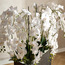 نبات أوركيد في إناء - جيلد روسيت - 150 سم-household-gardenandoutdoor-artificialflowersandplants-flowers-image-2
