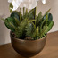 Gild Russet Orchid Arrangement in Pot - 92 cm-household-gardenandoutdoor-artificialflowersandplants-flowers-image-2