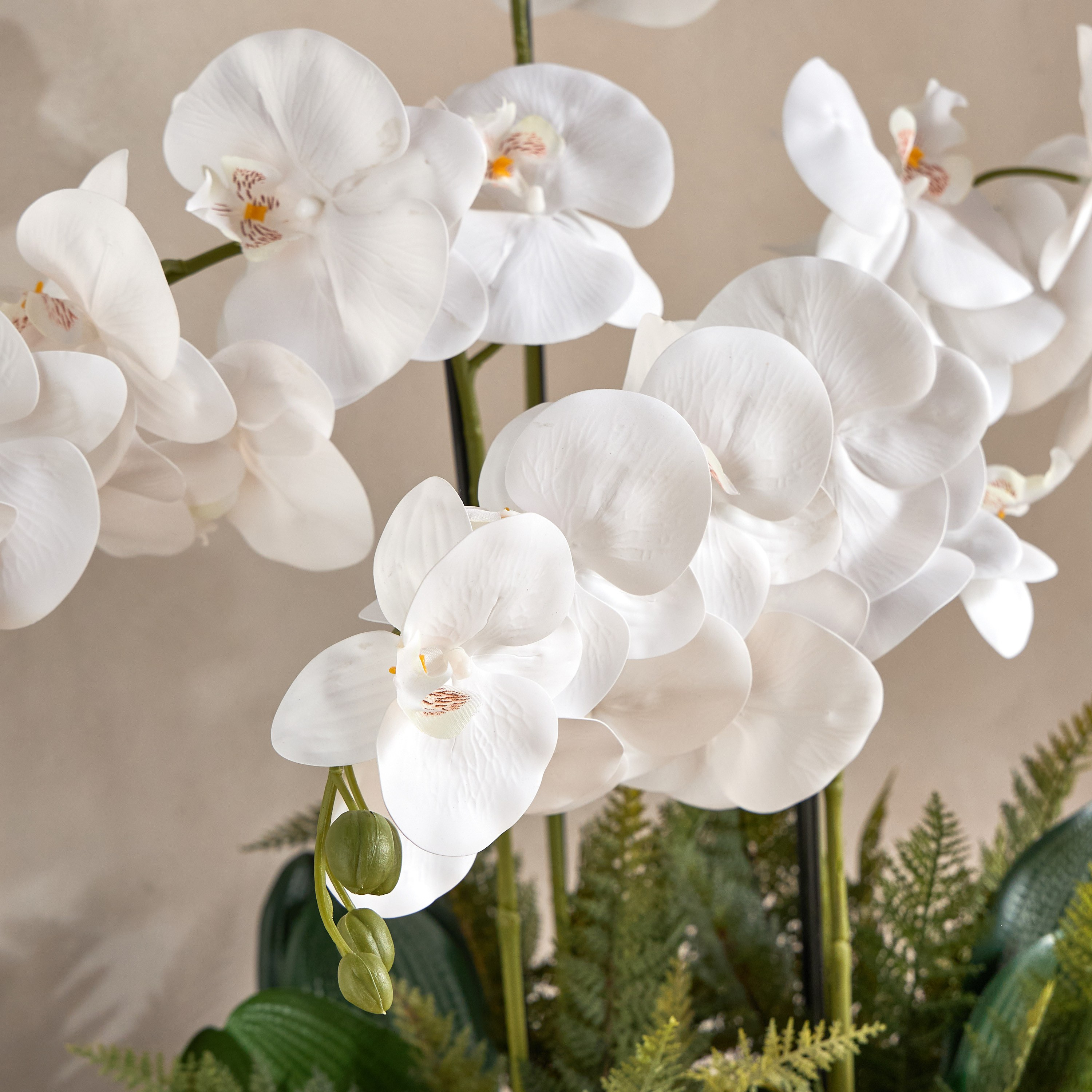 Gild Russet Orchid Arrangement in Pot - 92 cm-household-gardenandoutdoor-artificialflowersandplants-flowers-image-3