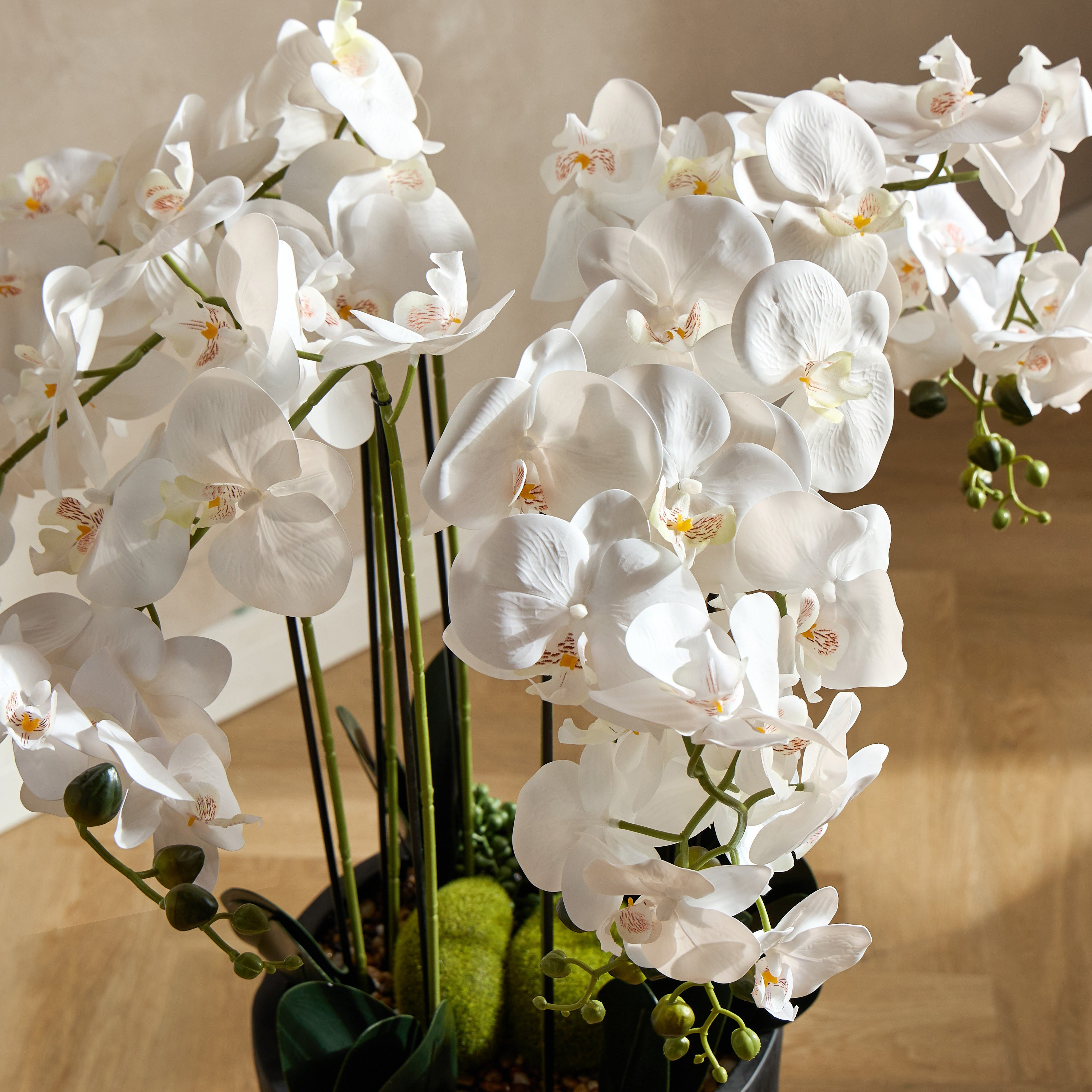 Urbano Orchid Arrangement in Pot - 114 cm-household-gardenandoutdoor-artificialflowersandplants-flowers-image-2