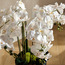 باقة أوركيد في إناء زرع - أوربانو- 114 سم-household-gardenandoutdoor-artificialflowersandplants-flowers-image-3