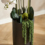 باقة أوركيد في إناء زرع - أوربانو- 114 سم-household-gardenandoutdoor-artificialflowersandplants-flowers-image-2